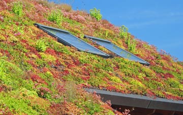 Broadclyst living roof systems